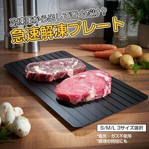 解凍プレート 急速解凍 業務用家庭用 自然解凍 急速 便利 食品解凍 肉 刺身 冷凍食品対応 調理器具 キッチン用品 電気不要bk185 サイズS