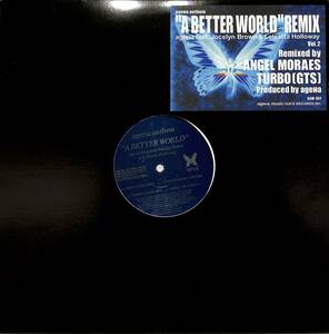 A00520248/12インチ/AgeHa Feat Jocelyn Brown & Loleatta Holloway「A Better World (AGM-002・ガラージハウス・HOUSE)」