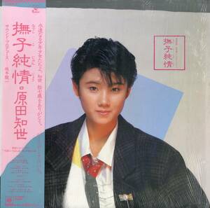 A00549798/LP/原田知世「撫子純情 (1984年・18AH-2002・坂本龍一プロデュース・大貫妙子・林哲司作曲・エクスペリメンタル・シンセポップ