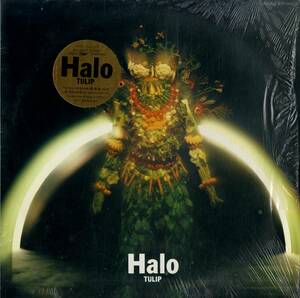 A00570864/LP/チューリップ（財津和夫）「Halo（1983年：ETP-90227）」