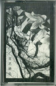 F00024703/カセット/MIRAGE (ミラージュ)「百花繚乱 (1997年・MATINA-001・デモテープ・3000本限定生産・ゴスロック)」