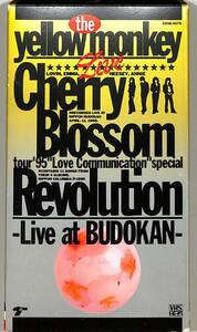 H00012387/VHSビデオ/The Yellow Monkey「Cherry Blossom Revolution」