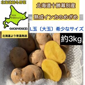 北海道2024年【超熟成！十勝幕別産濃い味インカのめざめL玉（大中）希少な大玉】約3Kg 北海道より常温発送