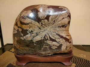 [. have * earth . chrysanthemum stone ]~ large 8kg* chrysanthemum stone collector worth seeing ~ beautiful stone crystal .... mineral natural stone raw ore appreciation stone .. stone suiseki st chrysanthemum stone water feature table stand for flower vase 