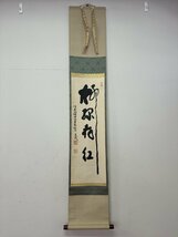 【千寿】真言宗 大覚寺 味岡良戒 柳緑花紅 一行書 紙本 d0590◆箱/茶道具/古美術/時代品/掛軸/100023872_画像2