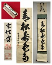 【千寿】大徳寺派 黄梅院 宮西玄性 青松寿色多 一行書 紙本 d605◆箱/茶道具/古美術/時代品/掛軸/100023830_画像1