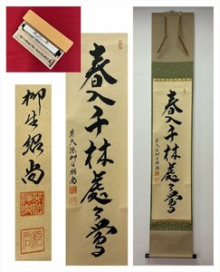 【千寿】大徳寺派 柳生芳徳寺 柳生紹尚 春入千林處々花 一行書 紙本 d594◆箱/茶道具/古美術/時代品/掛軸/200007C46