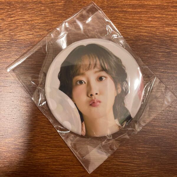 KARA コンサート カラ アイドル ファンミ 缶バッジ グッズ