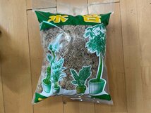 新品/水苔/国産/ビカクシダ/コウモリラン/植物/145g_画像1