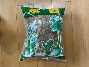 新品/水苔/国産/ビカクシダ/コウモリラン/植物/145g