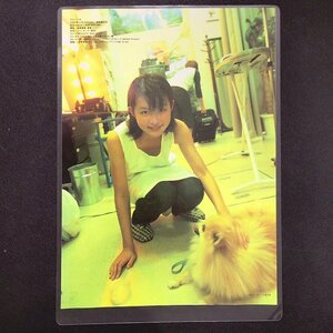 平井理央 ラミネート加工 雑誌切抜 12ページ A4 流行娘 1999年 平成11年11月25日発行 制服 学ラン ワンちゃん 私服