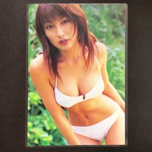 熊田曜子 ラミネート加工 雑誌切抜 8ページ A4 BIKiNIES 2004年 平成16年12月21日発行 水着 砂浜 ビキニ