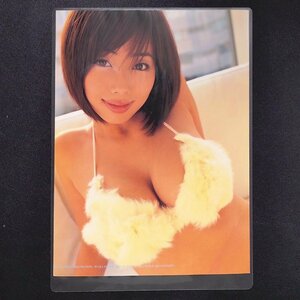 井上和香 ラミネート加工 雑誌切抜 5ページ A4 UP TO BOY 2004年 平成16年3月1日発行 水着 グラビア