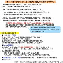 アルミサッシ YKK 土間用 後付けシャッター雨戸 先付タイプ W2755×H2281 （27022） 手動タイプ ガレージシャッター_画像7