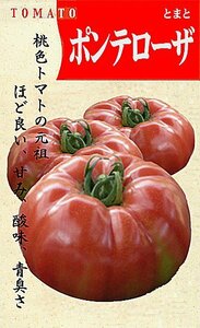 トマト ポンテローザ 10粒 