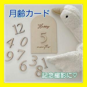  month . card man s Lee photo wooden banner baby maternity board 