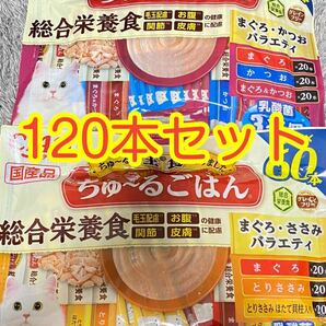 〈送料無料〉 ちゅ〜るごはん 120本 猫用 キャットフード 総合栄養食 ちゅーる ウェット おやつ まぐろ かつお ささみ ふりかけ ほたて