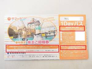 【 最新・バラ売り 】 東京サマーランド 株主優待券 春秋限定 1Dayパス 2024.3.29～10.14まで(2024.6.25～9.16は利用不可) 1～8枚