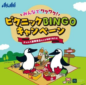 個数2 懸賞2種 レシート1枚(税込1000円以上) アサヒ チャムス ピクニック BINGO キャンペーン(1列), 颯 豪華限定グッズ当たる キャンペーン