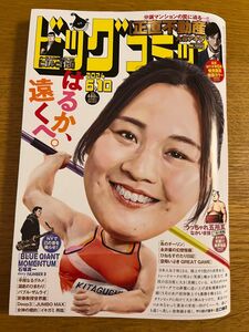 ビッグコミック　6.10号　Vol.11 最新号