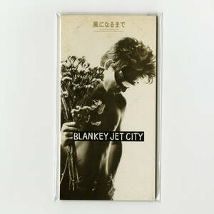  б/у CD BLANKEY JET CITY способ стать до клубника вода одиночный Blanc ki- jet City 