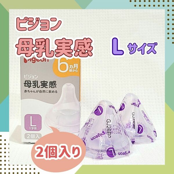 【L2つ】ピジョン 母乳実感 乳首 Y字形 6ヶ月 哺乳瓶 ミルク 授乳 育児 離乳食 保育園 予備 