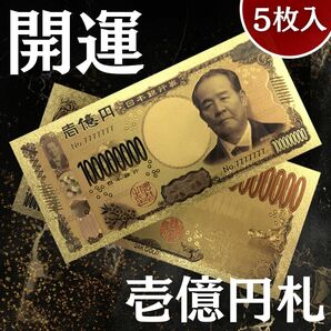 【限定超大特価出品｜純金24k】壱億円札 5枚入 渋沢栄一 金運 御守り