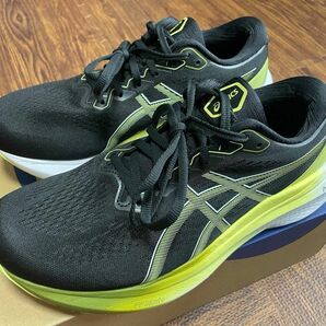 アシックス GEL-KAYANO 30 Extra Wide 27.0