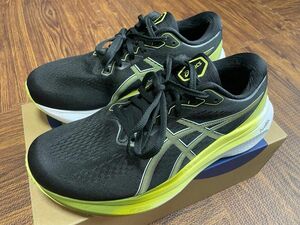 アシックス GEL-KAYANO 30 Extra Wide 27.0