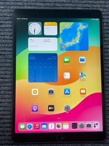 極美品　iPad Air第三世代　64G Wi-Fi Cellular