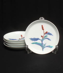 .. plate 5 point set 15cm Japanese-style tableware now right ..
