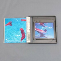 ★ ドリカム / ドリームズ・カム・トゥルー / DELICIOUS ( ESYB 7090 )　ミニディスク　MD ( mini Disc )　レア 希少 中古美品★送料無料★_画像3