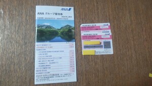 (送料込み)ANA 全日空 株主優待券