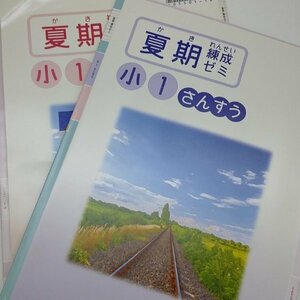 Учебные материалы Juku Summer Seminar 6 -Year Country Set Set