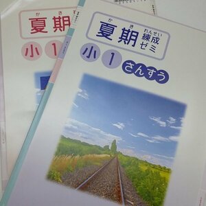 塾教材　夏期練成ゼミ　5年　算国セット