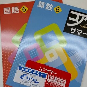 塾教材　コアサマー　4年　算国セット