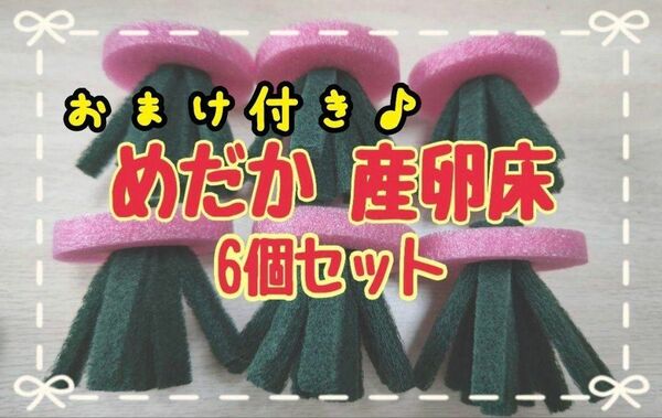 めだか 産卵床 産卵 研磨剤不使用 6個セット おまけ付き♪ メダカ 産卵床 メダカの産卵床