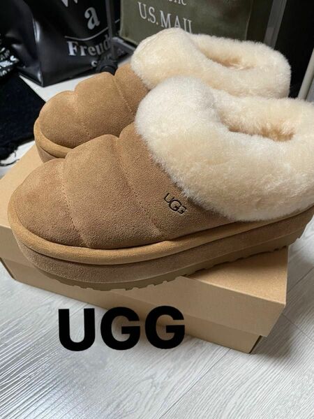 新品UGG Tazzlita Chestnut 23センチ