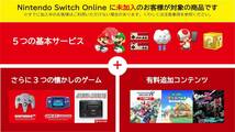 Nintendo Switch Online + 追加パック 個人プラン 12ヶ月|オンラインコード版　B_画像3