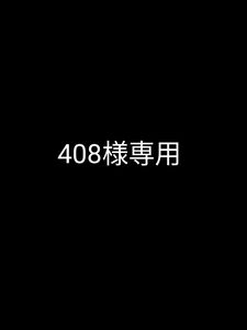 408様専用 ホークアイラバスト