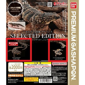 新品未開封　いきもの大図鑑アドバンス SELECTED EDITION 2種セット アルマジロトカゲ ニシアフリカトカゲモドキ 