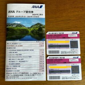 【送料無料】ANA 最新株主優待券2枚+グループ優待券冊子