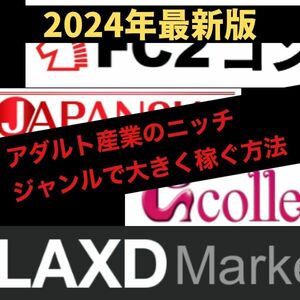 [maji. monthly income 100 ten thousand jpy earn therefore. . industry strategy ]nichi genre ....adaru* business X(Twitter)× blog . used payment system. making person 