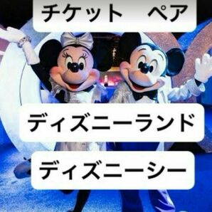 ディズニーチケット　ペア2枚