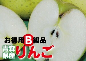 わけあり 否バラ詰め 【B級品・シナノゴールド・20kg（20キロ）用 木箱 サイズ ダンボール 詰】青森県産