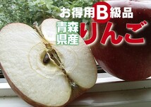 否バラ詰め わけあり【B級品・ジョナゴールド・20kg（20キロ）用 木箱 サイズ ダンボール 詰】青森県産_画像1