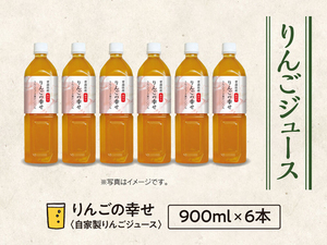 無添加・無加糖 果汁100%りんごジュース【りんごの幸せ・900ml 6本入2箱（計12本）】