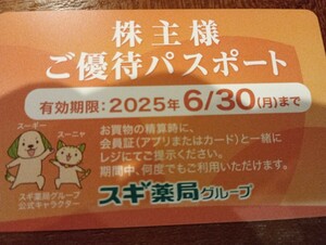 送料63円〜　スギ　株主優待　1枚　パスポート