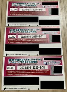 東京ディズニーリゾート　コーポレートプログラム利用券 9000円分（3000円×3枚）