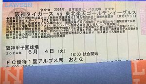 通路側　6月4日(火) 一塁アルプス指定席一枚